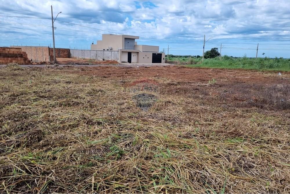 Terreno - Venda - Confresa , Mato Grosso - WhatsApp Image 2026-01-27 at 10.43.41.jpeg - 720641046-17