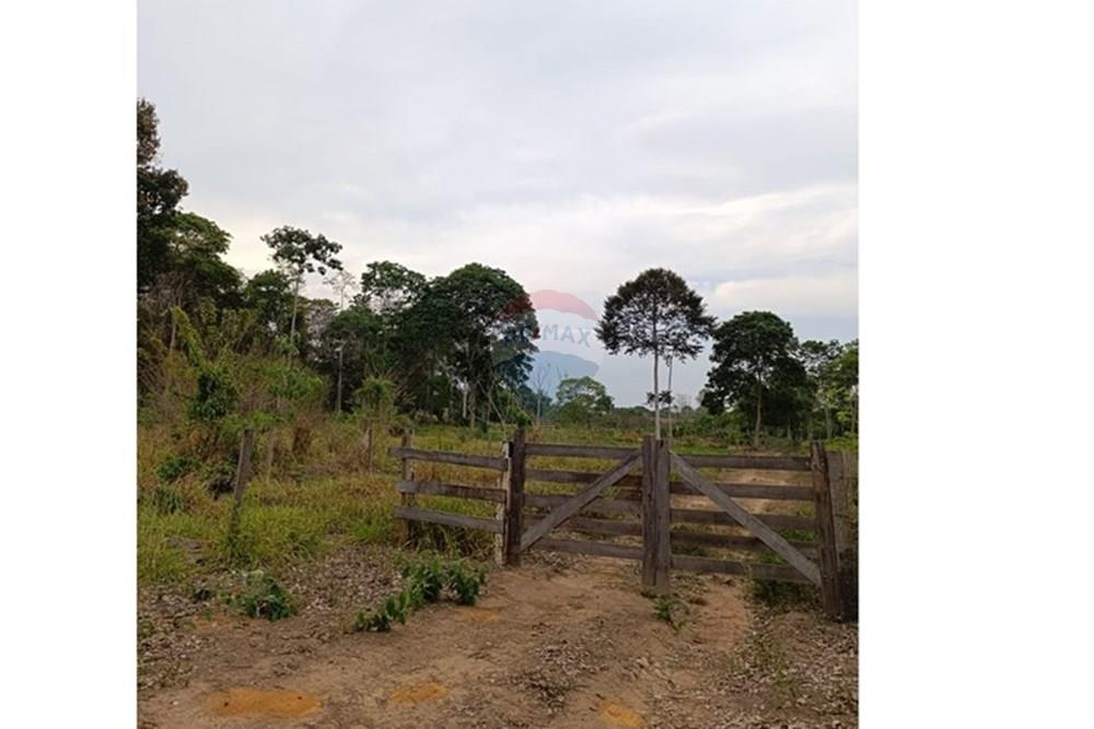 Terreno - Venda - Ji-Paraná , Rondônia - WhatsApp Image 2025-11-12 at 10.50.58 (1).jpeg - 722391007-7