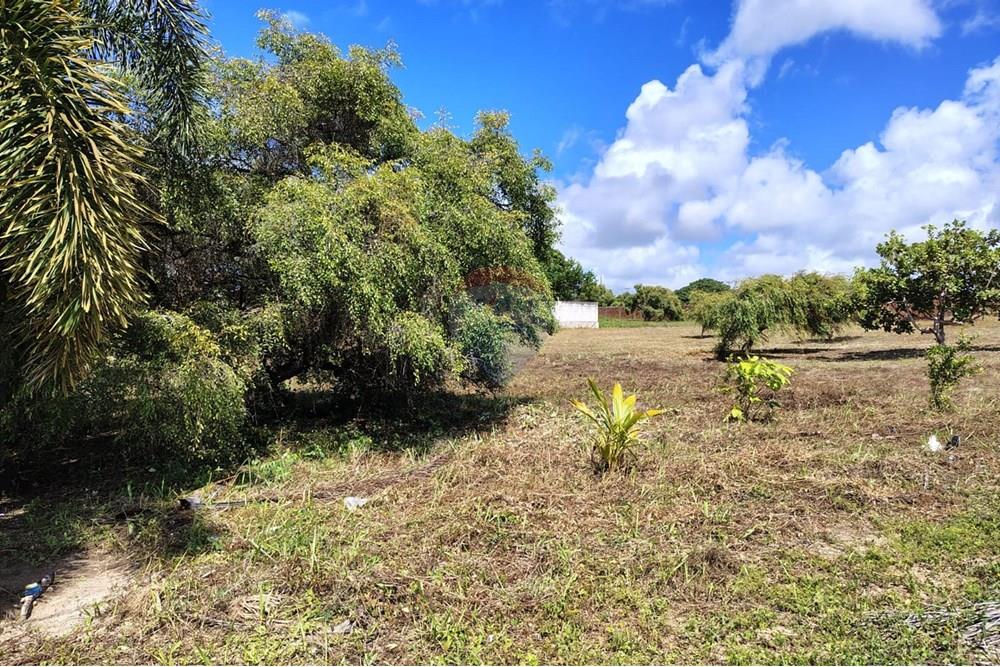 Terreno - Venda - Conde , Paraíba - Imagem do WhatsApp de 2025-07-05 à(s) 08.19.06_9374a2df.jpg - 720871055-11