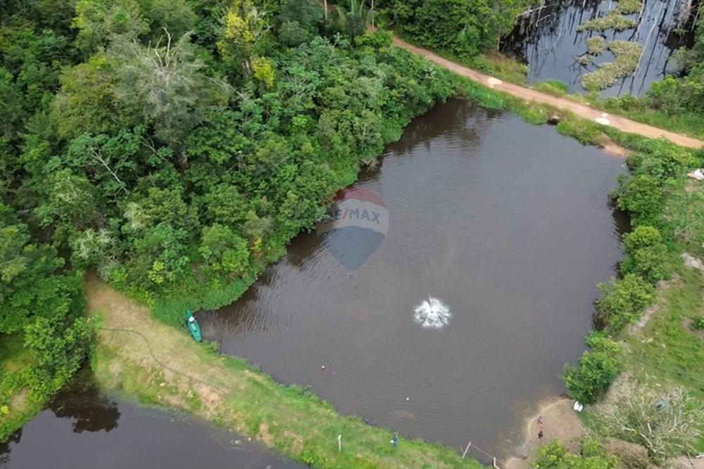 Woningbouw - Boerderij - Novo Airão , Amazonas - BR - Tanques de Peixes5.jpg - 720721055-29