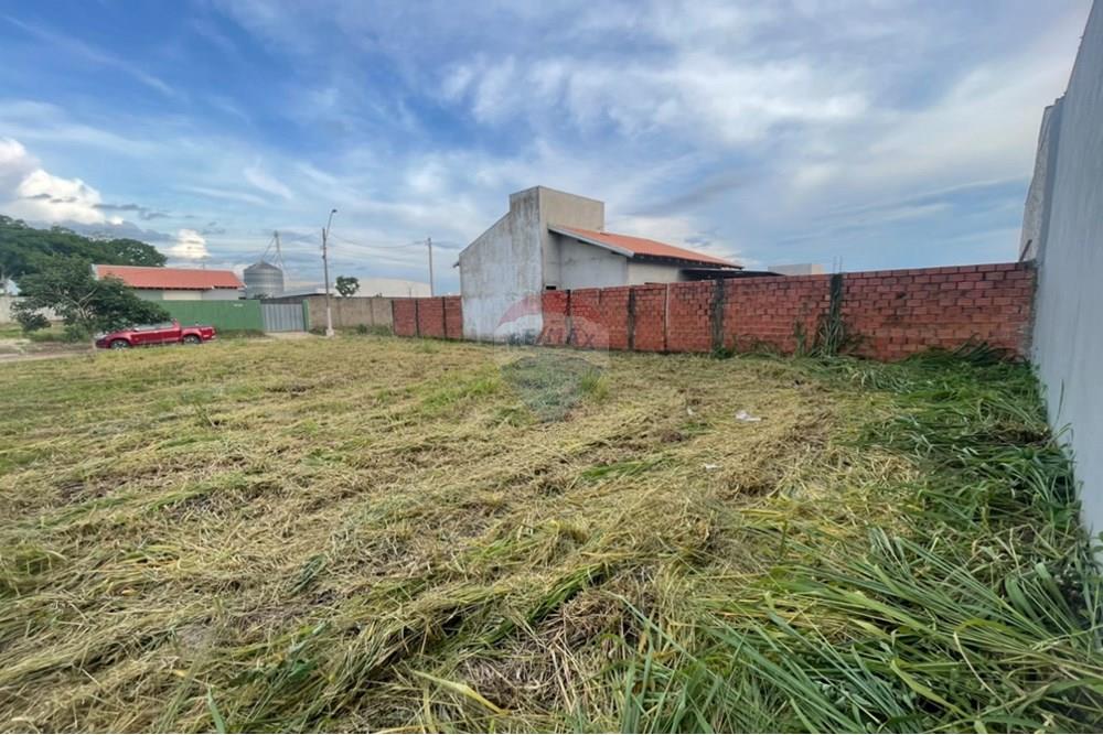 Terreno - Venda - Cacoal , Rondônia - IMG_3272.jpg - 722311011-29