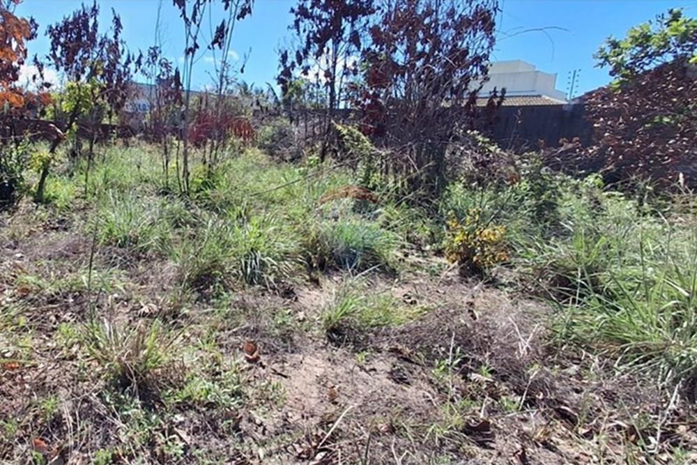 Terreno - Venda - Conde , Paraíba - 752c700c-fa93-4dc3-b88c-c34a54d36f64.jpeg - 720871044-68