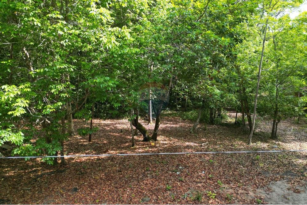 Chácara / Sítio / Fazenda - Venda - Babaçulândia , Tocantins - DJI_0099.JPG - 720991008-82