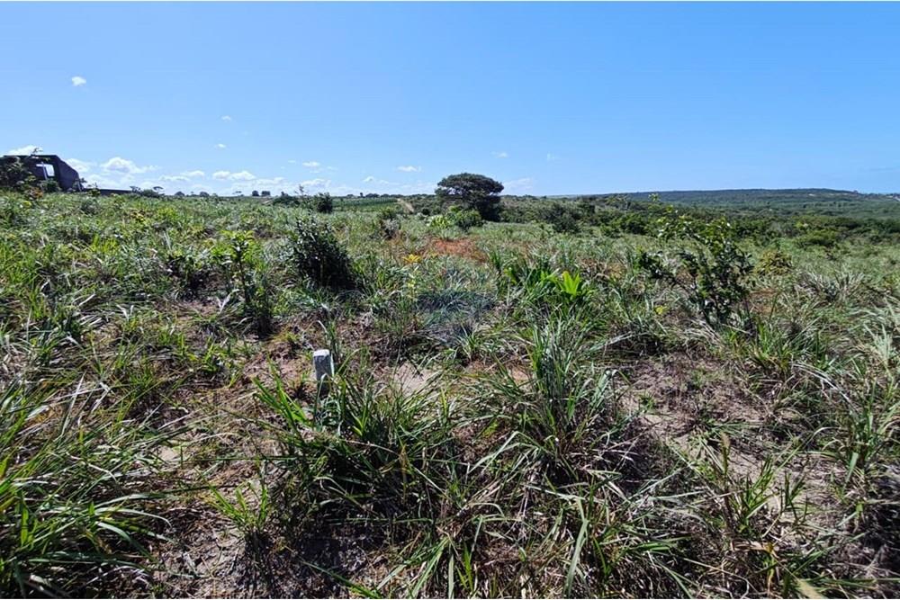 Terreno - Venda - Pitimbu , Paraíba - WhatsApp Image 2025-08-28 at 18.48.47 (1).jpeg - 720871009-187