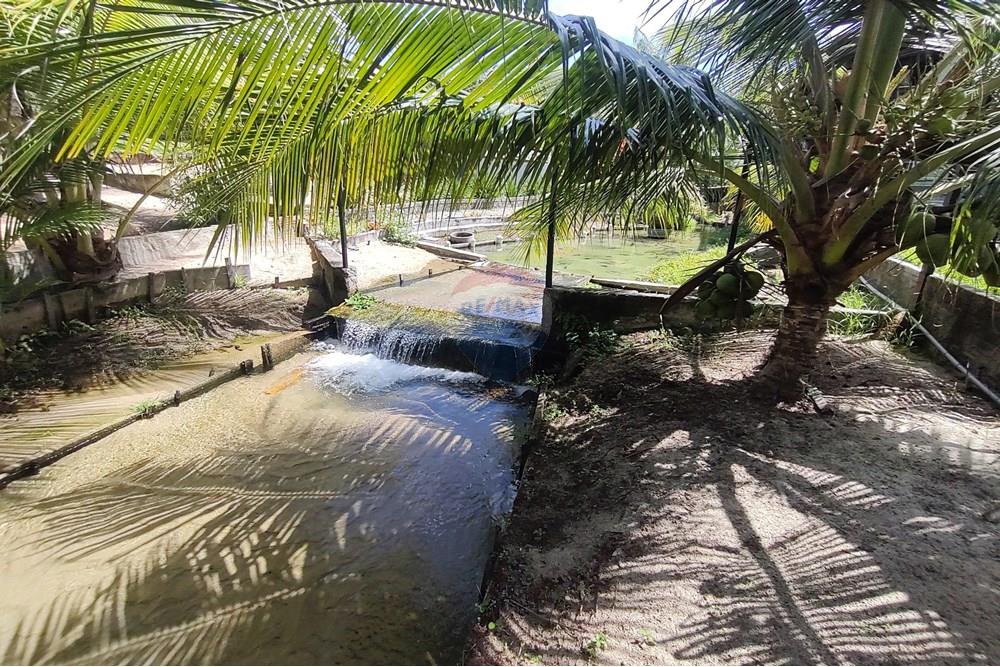 Chácara / Sítio / Fazenda - Venda - Nísia Floresta , Rio Grande do Norte - WhatsApp Image 2025-06-05 at 15.28.54(3).jpeg - 720731020-103