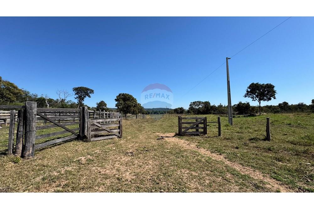 Fazenda - Venda - Santo Antônio do Leverger , Mato Grosso - 6a74b351-bebe-4781-8bc2-62d2934bcdf0.jpeg - 720611035-41