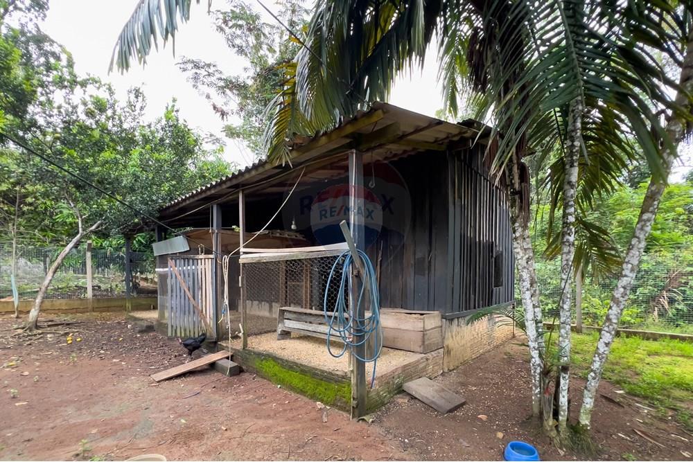 Chácara / Sítio / Fazenda - Venda - Porto Velho , Rondônia - IMG_7429.jpg - 721551058-3