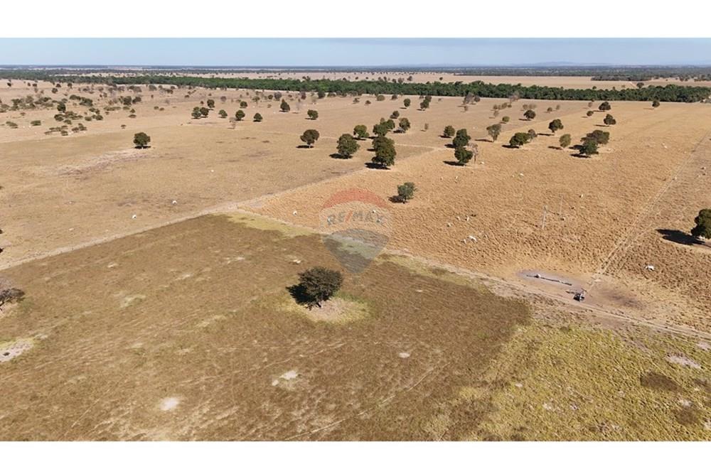Chácara / Sítio / Fazenda - Venda - Barra do Garças , Mato Grosso - DJI_20250813023418_0402_D.JPG - 722221002-336
