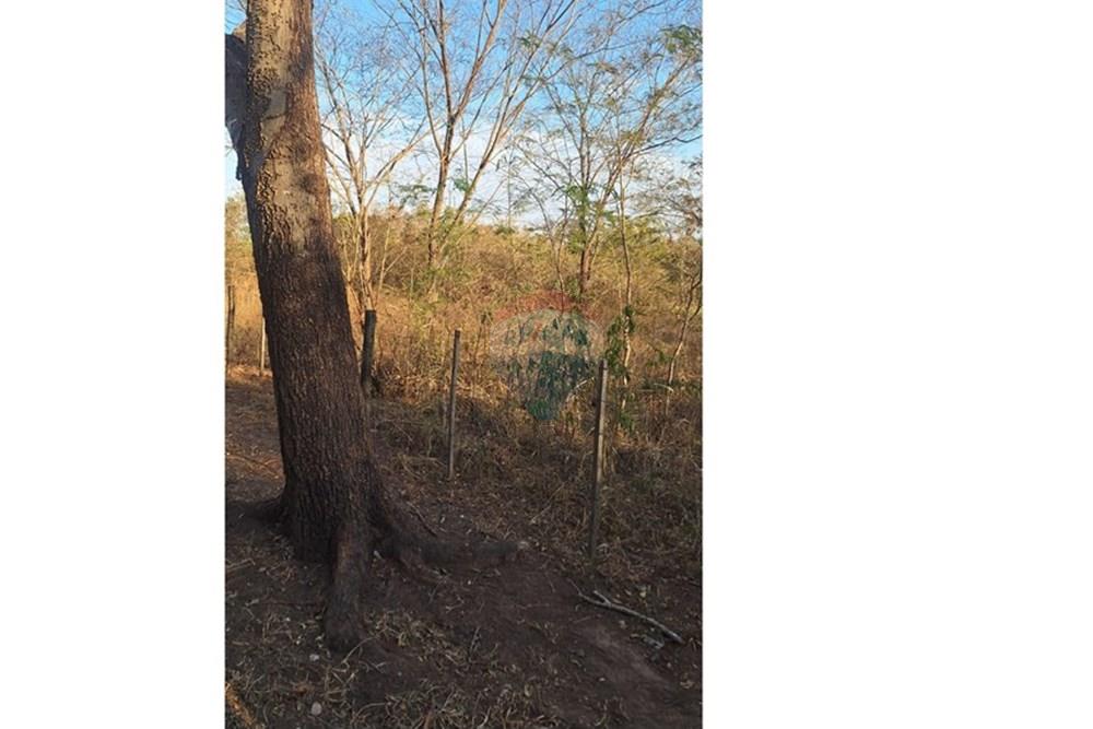 Outros - Venda - Rondonópolis , Mato Grosso - IMG-20250830-WA0129.jpg - 721981068-7