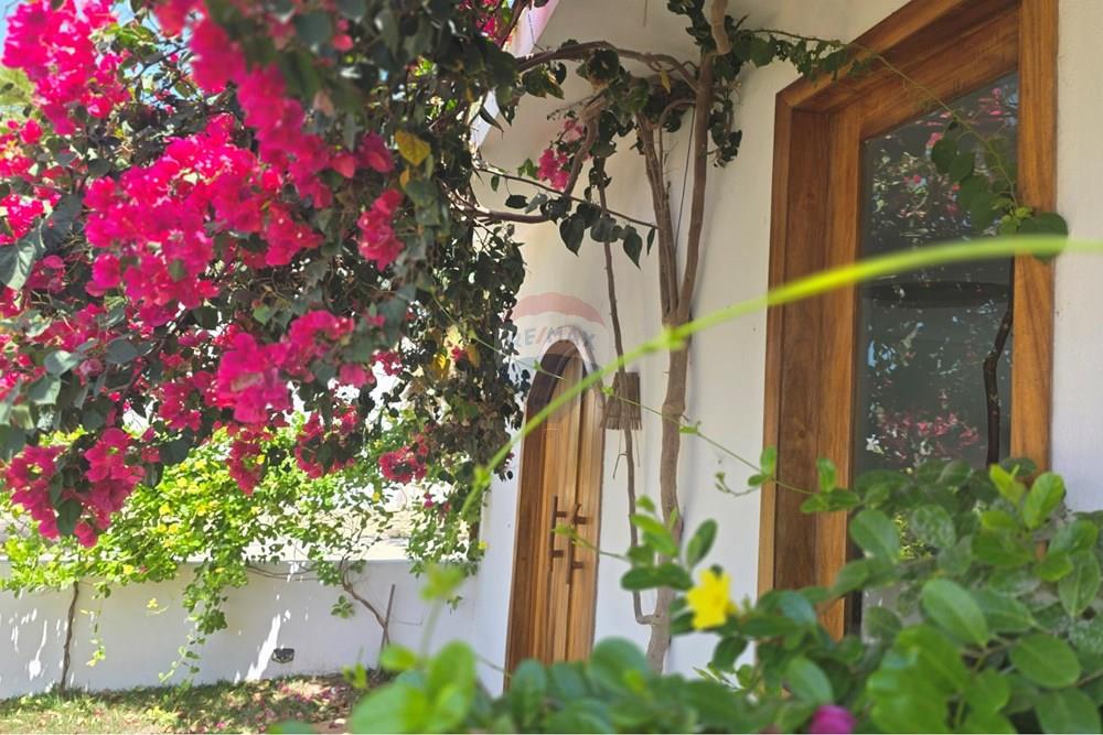 Casa - Venda - Cruz , Ceará - 1000429793.jpg - 722341001-159