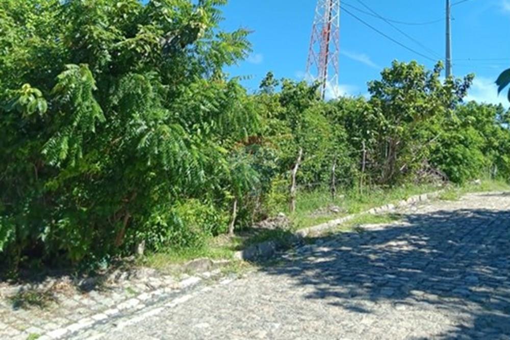 Terreno - Venda - Parnamirim , Rio Grande do Norte - WhatsApp Image 2026-03-24 at 11.35.54 (4).jpeg - 720891130-389