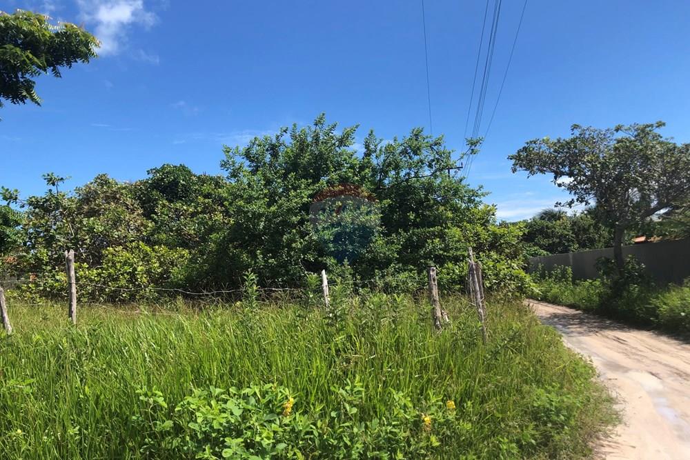 Terreno - Venda - Cruz , Ceará - IMG_0582.jpeg - 722341001-199