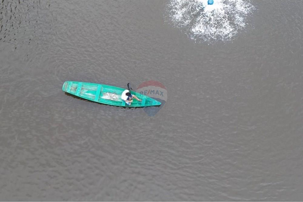 Woningbouw - Boerderij - Novo Airão , Amazonas - BR - Tanques de Peixes6.jpg - 720721055-29