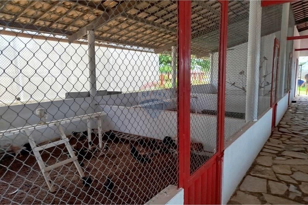 Casa de Condomínio - Venda - Macaíba , Rio Grande do Norte - WhatsApp Image 2026-01-17 at 20.36.11.jpeg - 720891013-267