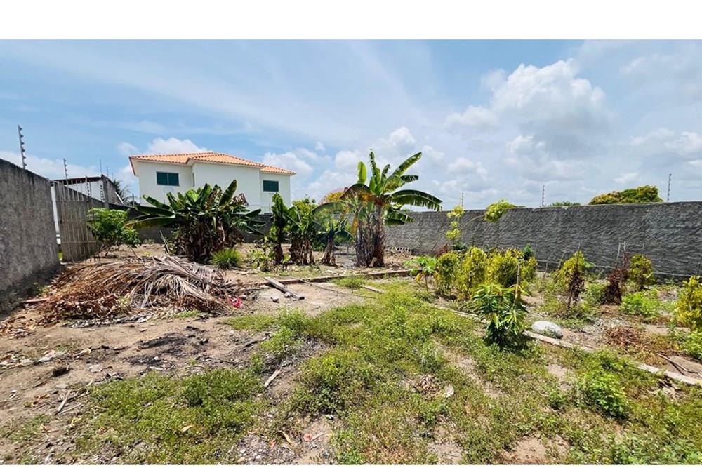 Terreno - Venda - Conde , Paraíba - WhatsApp Image 2026-01-31 at 14.24.53 (1).jpeg - 720871004-230