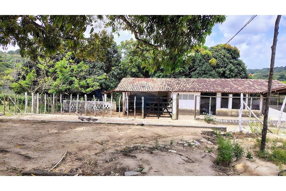 Chácara / Sítio / Fazenda - Venda - Conde , Paraíba - IMG_20251012_123005994_HDR_AE.jpg - 720871055-28