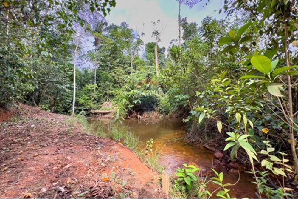 Chácara / Sítio / Fazenda - Venda - Porto Velho , Rondônia - L_c73efa92-4423-4265-b7b6-09f1860f7e6a.jpg - 721551004-302