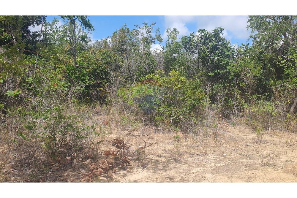 Terreno - Venda - Conde , Paraíba - 20251227_095508.jpg - 720471019-138