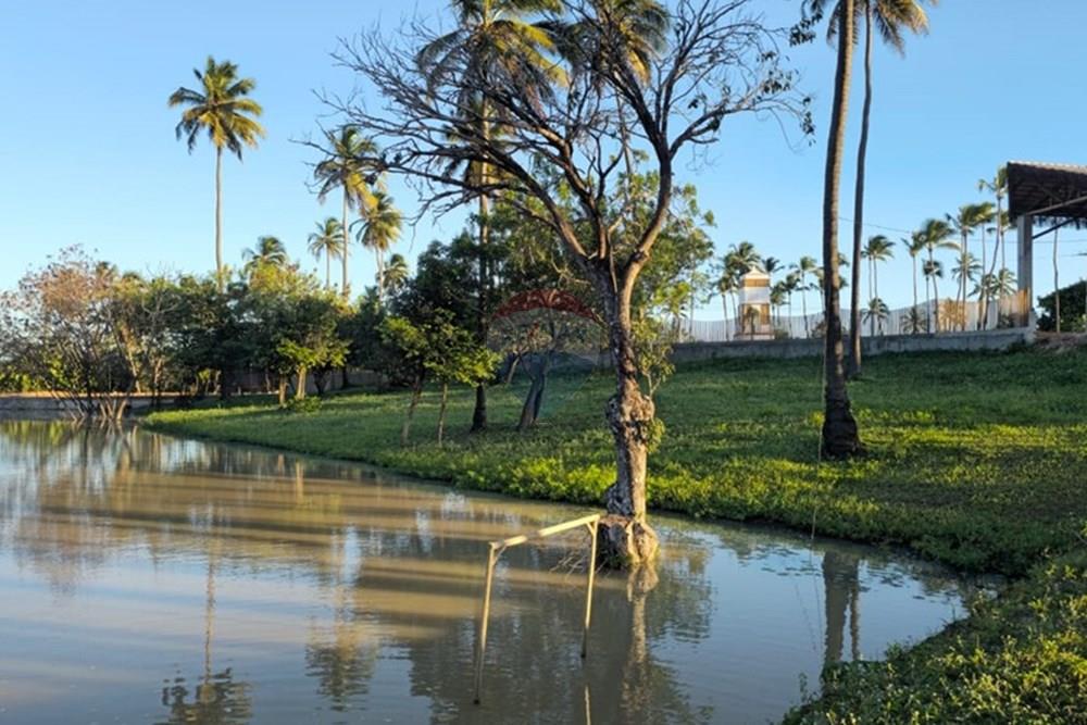 Terreno - Venda - Trairi , Ceará - 1000290564.jpg - 722341005-30