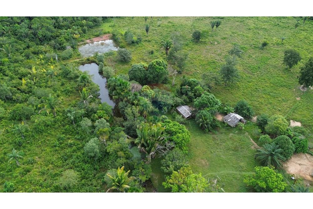 Chácara / Sítio / Fazenda - Venda - Canutama , Amazonas - DJI_0060.JPG - 721551016-61