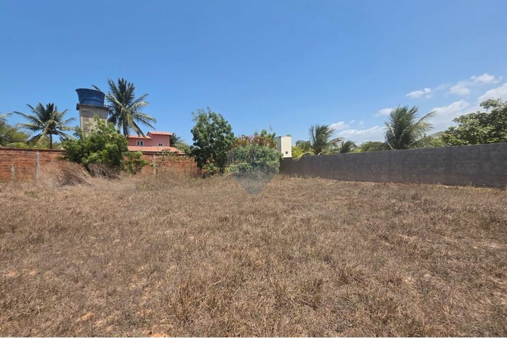 Terreno - Venda - Cruz , Ceará - 1000292523.jpg - 722341005-21