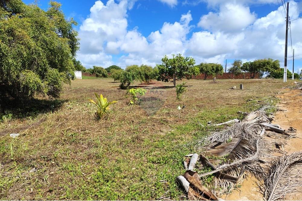 Terreno - Venda - Conde , Paraíba - Imagem do WhatsApp de 2025-07-05 à(s) 08.19.06_a87f4b23.jpg - 720871055-11