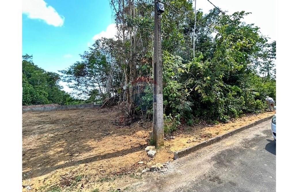 Terreno - Venda - Manaus , Amazonas - Imagem do WhatsApp de 2025-09-15 à(s) 14.51.17_e3d780d0.jpg - 720401097-8