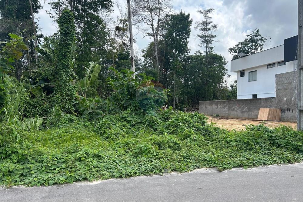 Terreno - Venda - Manaus , Amazonas - WhatsApp Image 2024-12-20 at 12.13.51.jpeg - 720721025-40