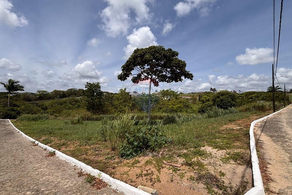 Terreno - Venda - Conde , Paraíba - IMG_0378.jpeg - 720871018-124