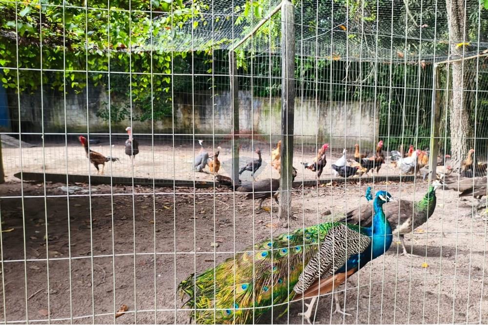 Terreno - Venda - Conde , Paraíba - WhatsApp Image 2025-10-30 at 15.08.23.jpeg - 720871047-16