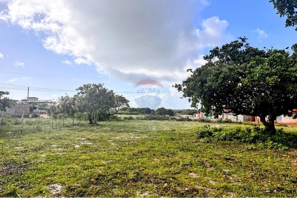 Terreno - Venda - São Miguel do Gostoso , Rio Grande do Norte - WhatsApp Image 2025-06-28 at 14.34.32.jpeg - 720891233-33