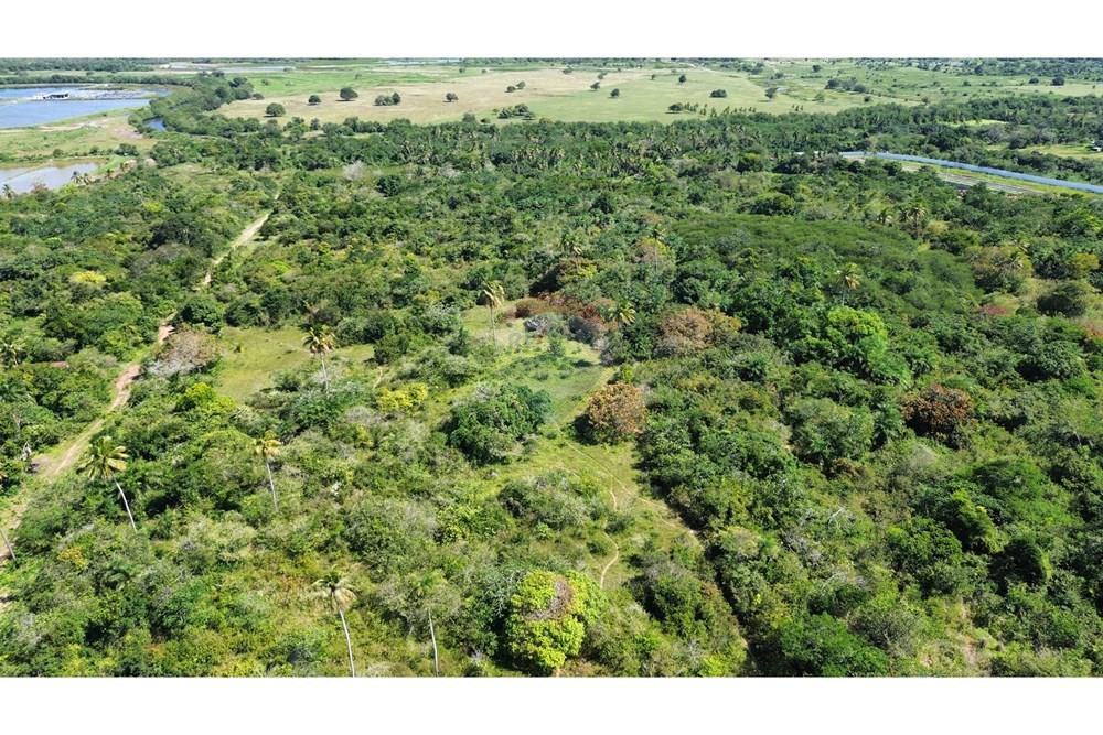 Terreno - Venda - São Gonçalo do Amarante , Rio Grande do Norte - WhatsApp Image 2025-09-09 at 11.00.08 (4).jpeg - 720621066-81