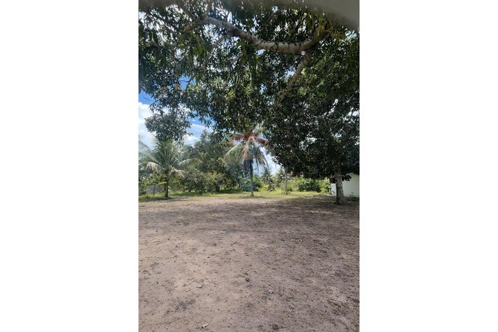 Chácara / Sítio / Fazenda - Venda - São José de Mipibu , Rio Grande do Norte - 37.jpg - 720891280-13