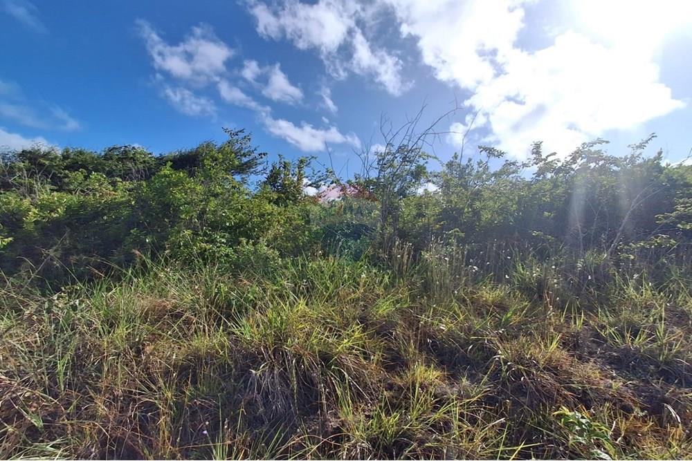 Terreno - Venda - Pitimbu , Paraíba - a2721936-a5b3-4f6f-937c-f72ad3afb852.jpeg - 720871044-88