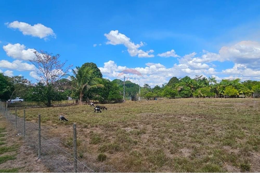 Chácara / Sítio / Fazenda - Venda - Araguaína , Tocantins - WhatsApp Image 2025-08-07 at 15.18.56.jpeg - 722171030-16