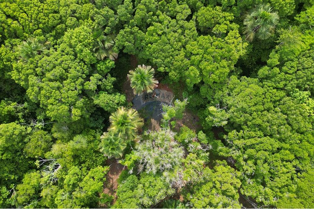 Chácara / Sítio / Fazenda - Venda - Babaçulândia , Tocantins - DJI_0093.JPG - 720991008-82