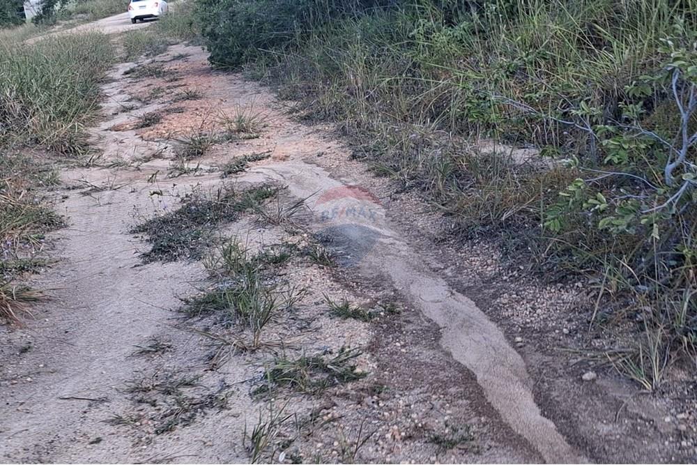 Terreno - Venda - Pitimbu , Paraíba - 968e9a95-8bed-418a-9393-d47021133c7a.jpg - 720871044-61