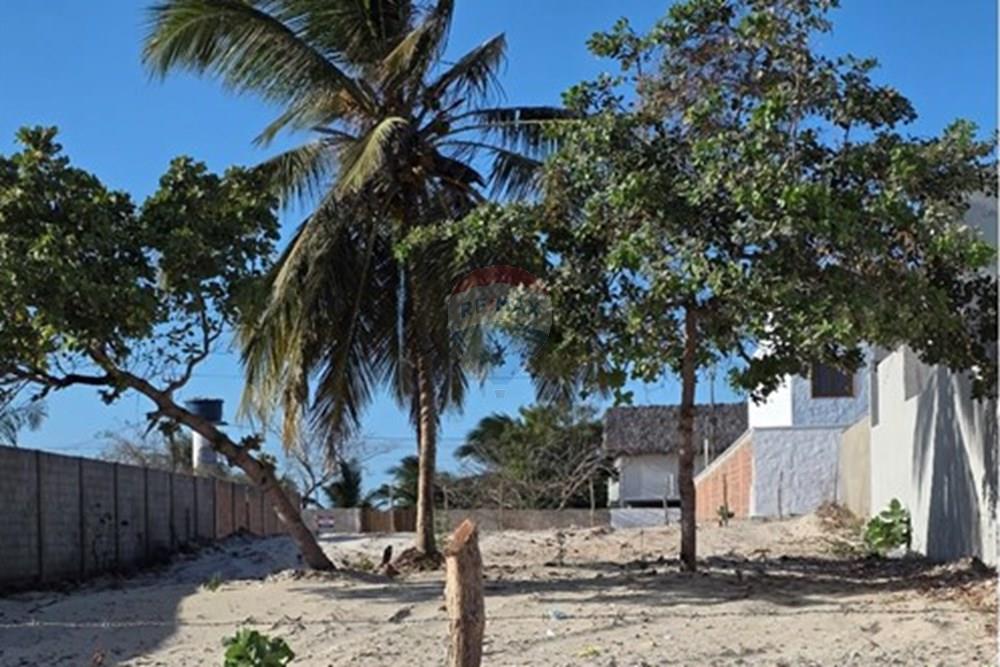 Terreno - Venda - Cruz , Ceará - 1000477851.jpg - 722341001-177