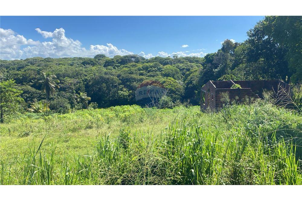 Residential - Ladang - Nísia Floresta , Rio Grande do Norte - BR - 18 - 720891068-68