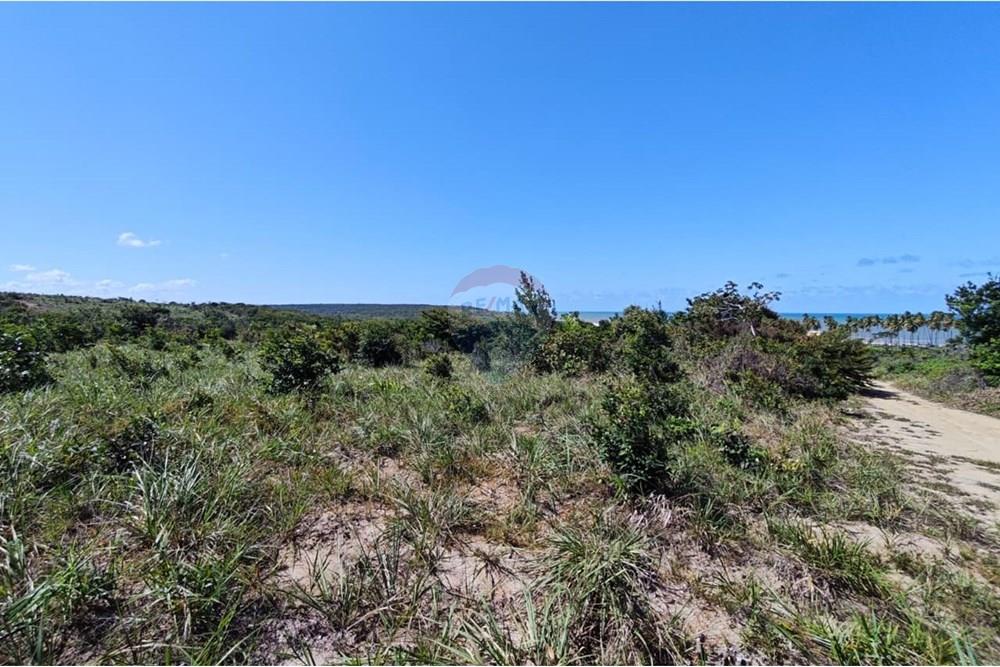 Terreno - Venda - Pitimbu , Paraíba - WhatsApp Image 2025-08-28 at 18.48.51.jpeg - 720871009-185