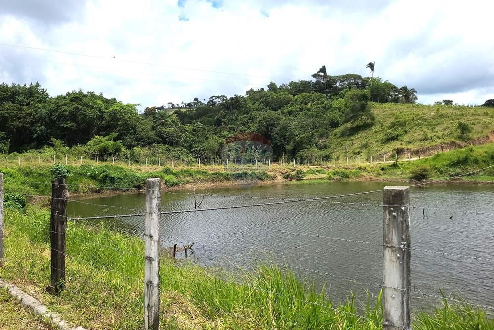 Chácara / Sítio / Fazenda - Venda - Areia , Paraíba - DJI_20230206_112030_602.jpg - 722011055-52