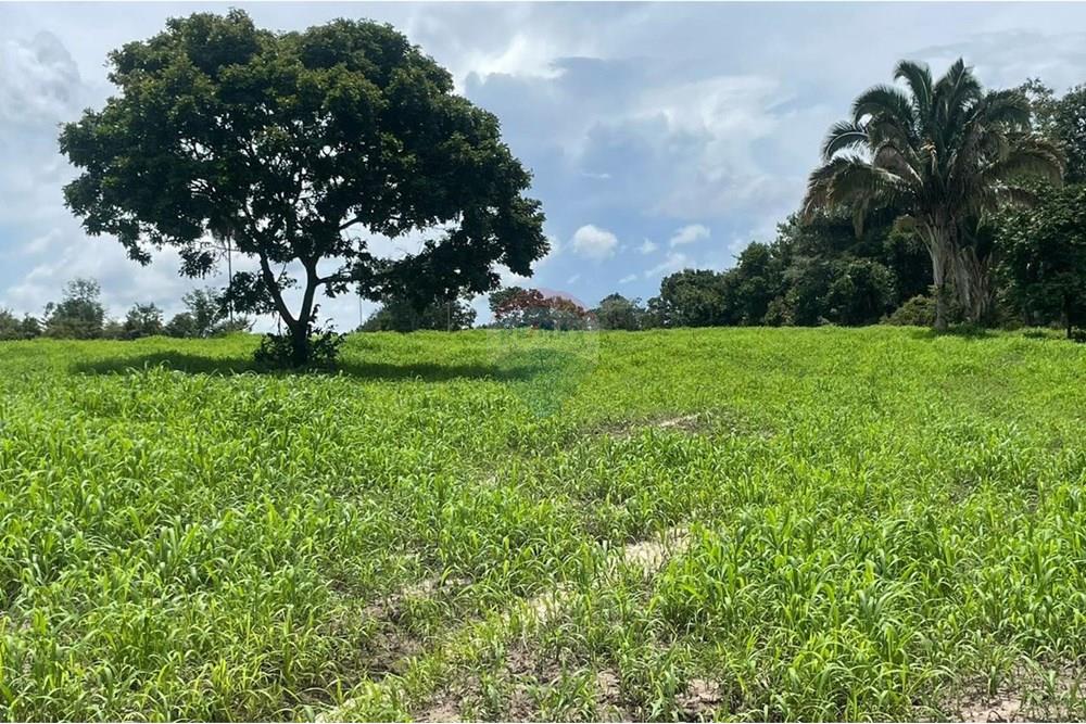 Chácara / Sítio / Fazenda - Venda - Araguaína , Tocantins - WhatsApp Image 2025-07-10 at 9.52.08 AM (2).jpeg - 722171061-11