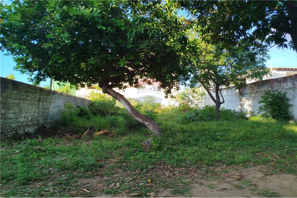 Terreno - Venda - Parnamirim , Rio Grande do Norte - 13 - 720891228-1