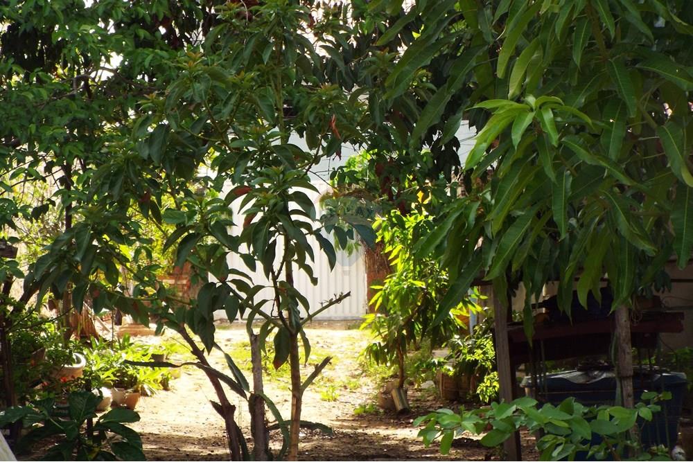 Terreno - Venda - Natal , Rio Grande do Norte - DSCF2369.JPG - 720891130-142