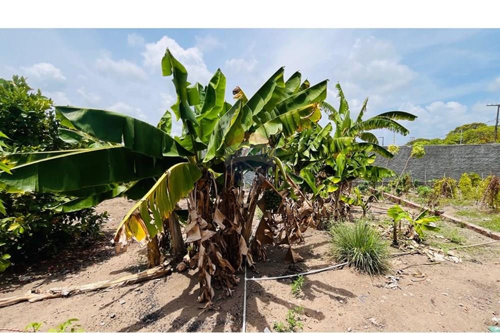 Terreno - Venda - Conde , Paraíba - WhatsApp Image 2026-01-31 at 14.24.57 (2).jpeg - 720871004-230