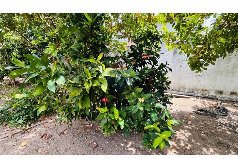 Casa - Venda - Conde , Paraíba - WhatsApp Image 2026-01-31 at 14.25.06 (3).jpeg - 720871004-227