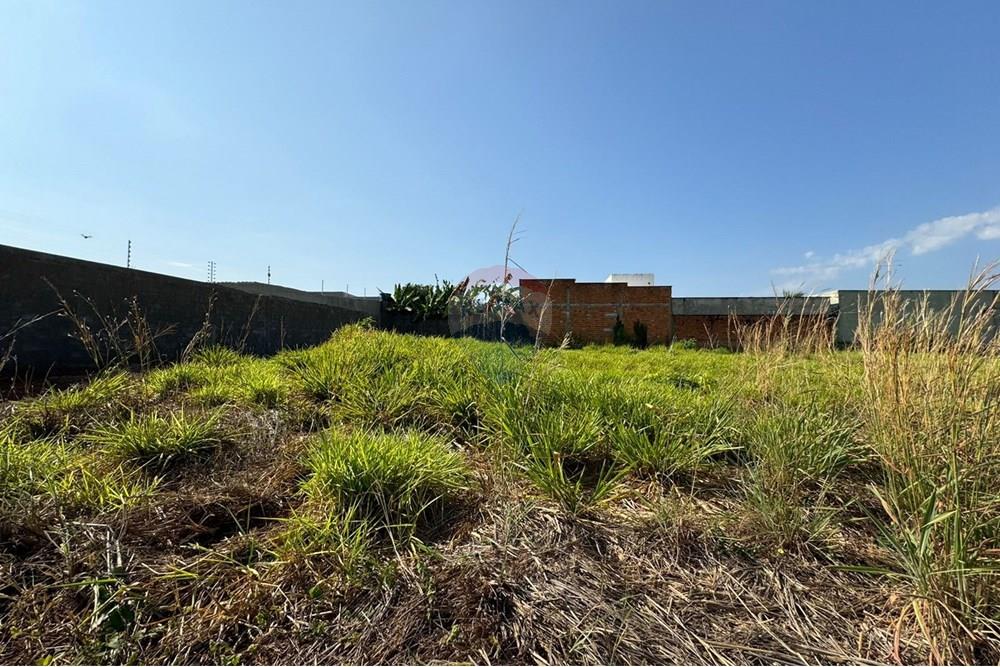 Terreno - Venda - Araguaína , Tocantins - WhatsApp Image 2024-08-22 at 17.40.35.jpeg - 720991002-163