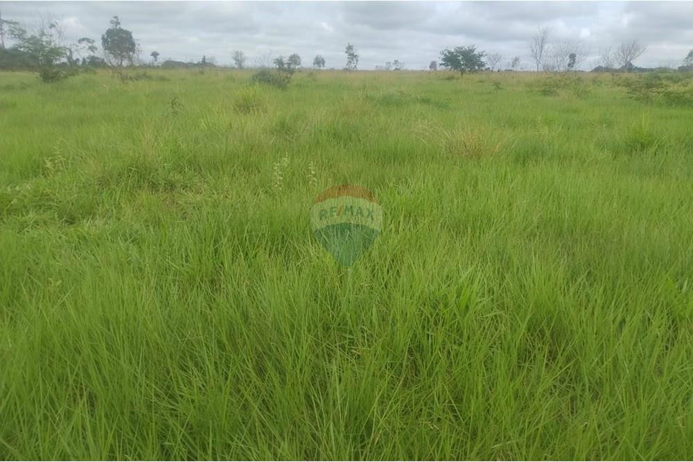 Chácara / Sítio / Fazenda - Venda - Confresa , Mato Grosso - IMG-20250926-WA0042.jpg - 720641046-10