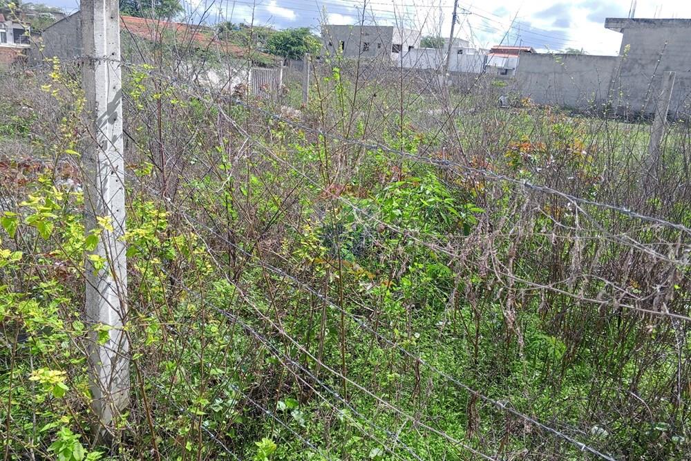 Terreno - Venda - Queimadas , Paraíba - IMG_20260216_085134_074.jpg.jpeg - 720291095-18