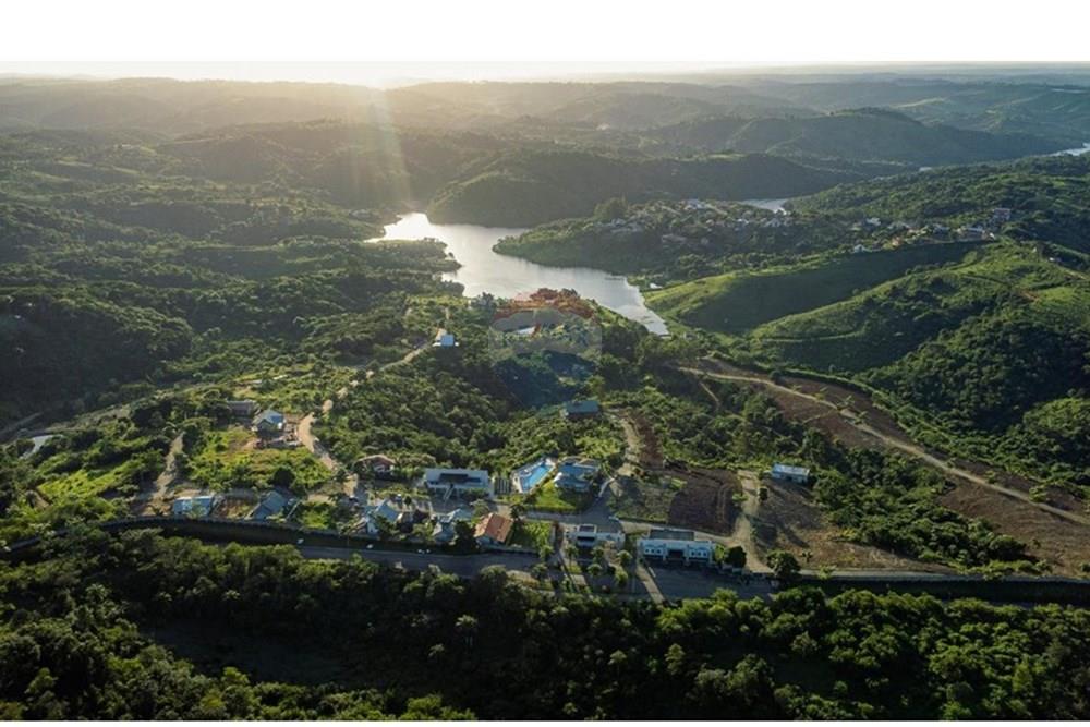 Terreno - Venda - Areia , Paraíba - Vista Superior.jpeg - 722421005-4